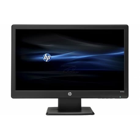 HP 19" LCD Monitor