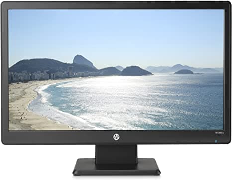 HP V214a 20.7" Monitor